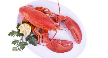 多國海鮮產(chǎn)品關(guān)稅迎調(diào)整或全免，全球貿(mào)易格局或?qū)⒅厮? class=