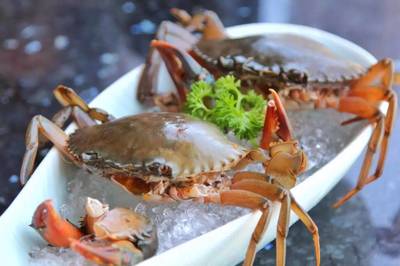 198元龍蝦海鮮拼盤免費(fèi)送！品味鮮香，暢享海鮮火鍋盛宴