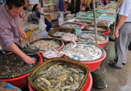 水產品放心吃！多地市場核酸檢測陰性，安全有保障